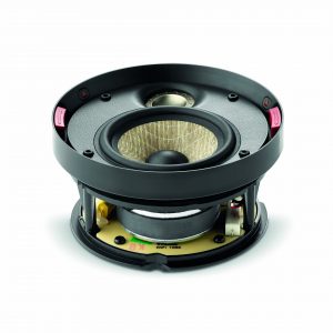 Focal 300ICW4